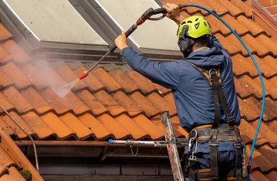 Démoussage et hydrofuge de toiture à Perpezat